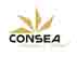 CONSEA FASHION & RETAIL CONSEA FASHION & RETAIL