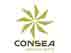 CONSEA S.R.L. - EXECUTIVE SEARCH CONSEA S.R.L. - EXECUTIVE SEARCH