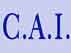 CENTRO ASSISTENZA IMPRESE C.A.I. S.R.L.